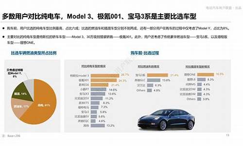 特斯拉客户群体分析_特斯拉用户调查报告