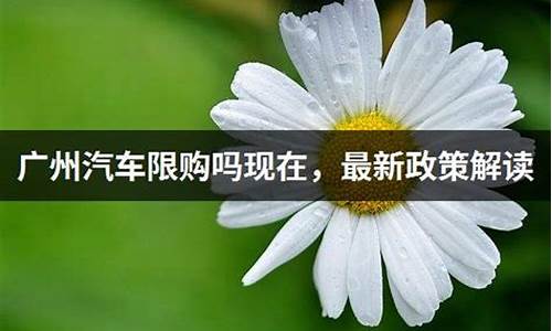 广州汽车购买政策_广州汽车限购政策最新消