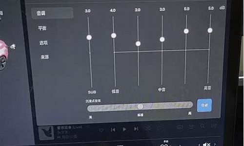 特斯拉音响怎么调音质最好_特斯拉调音响设置在哪里打开
