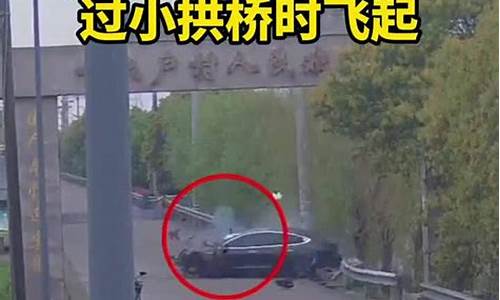 特斯拉失控撞交警_特斯拉失控撞电线杆