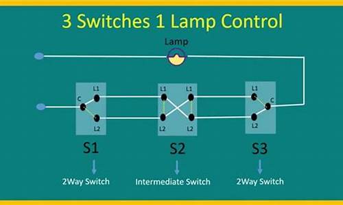 switch特斯拉是什么_ns特斯拉